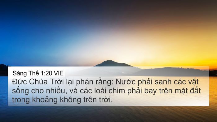 Sáng Thế 1:20 VIE 4K Wallpaper - Đức Chúa Trời lại phán rằng: Nước - 4K Wallpaper Bible Verse