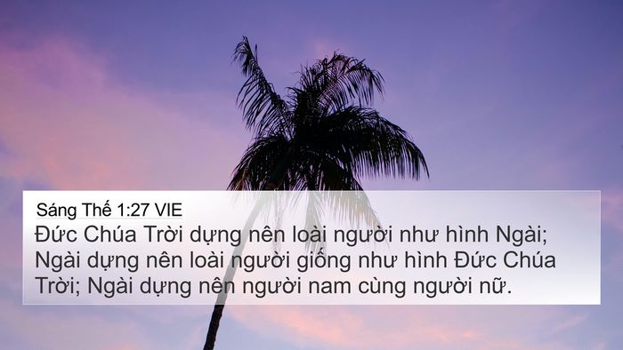 Sáng Thế 1:27 VIE Bible Verse Image