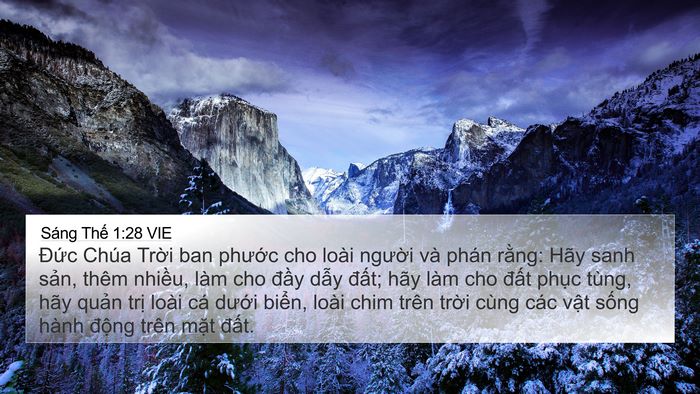 Sáng Thế 1:28 VIE Bible Verse Image