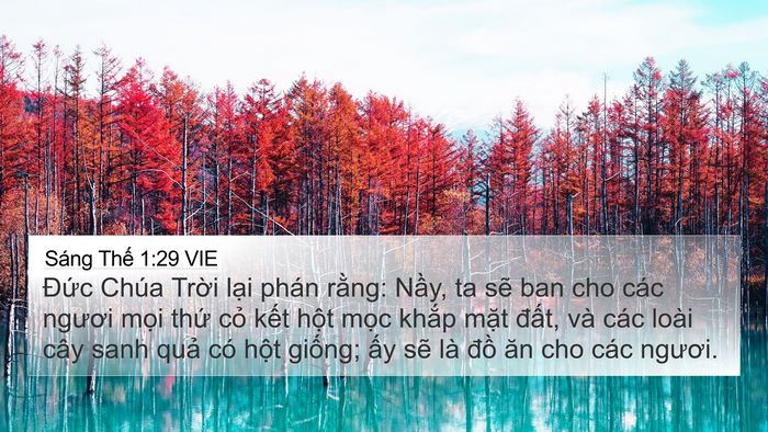 Sáng Thế 1:29 VIE Bible Verse Image