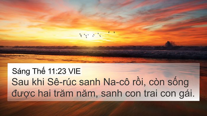 Sáng Thế 11:23 VIE 4K Wallpaper - Sau khi Sê-rúc sanh Na-cô rồi, còn sống - 4K Wallpaper Bible Verse