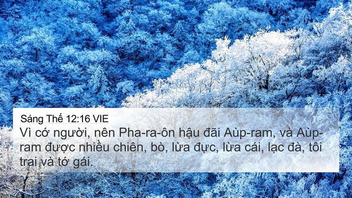 Sáng Thế 12:16 VIE Bible Verse Image