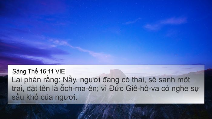 Sáng Thế 16:11 VIE Bible Verse Image