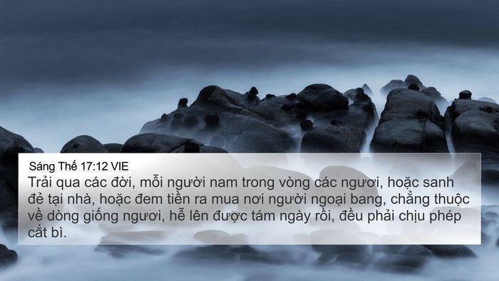 Sáng Thế 17:12 VIE Bible Verse Image