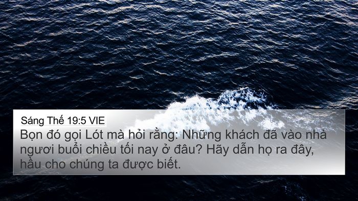 Sáng Thế 19:5 VIE Bible Verse Image