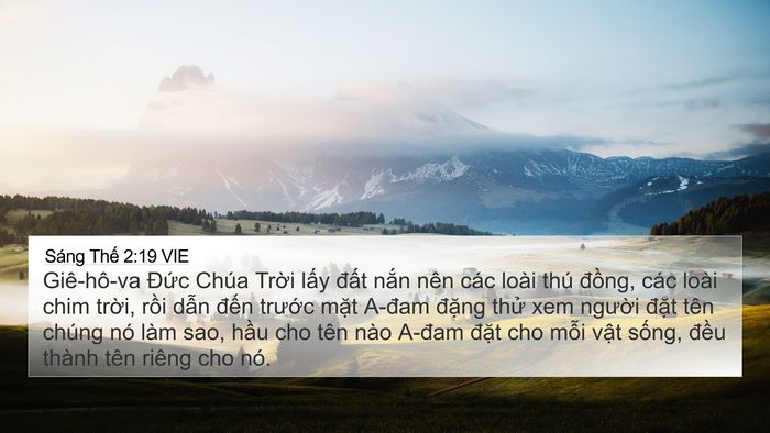 Sáng Thế 2:19 VIE Bible Verse Image
