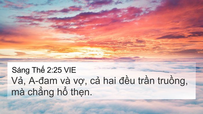Sáng Thế 2:25 VIE Bible Verse Image
