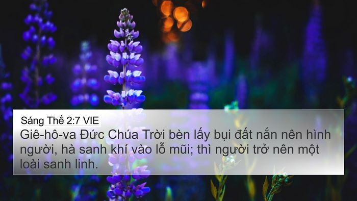 Sáng Thế 2:7 VIE Bible Verse Image