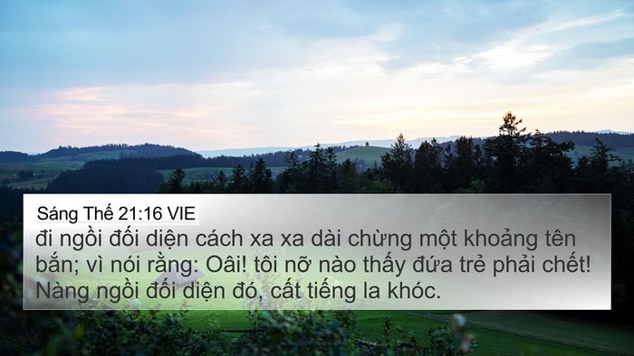 Sáng Thế 21:16 VIE Bible Verse Image