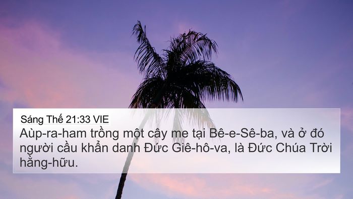 Sáng Thế 21:33 VIE Bible Verse Image