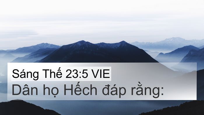 Sáng Thế 23:5 VIE Bible Verse Image