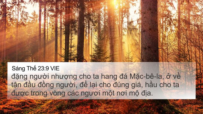 Sáng Thế 23:9 VIE Bible Verse Image