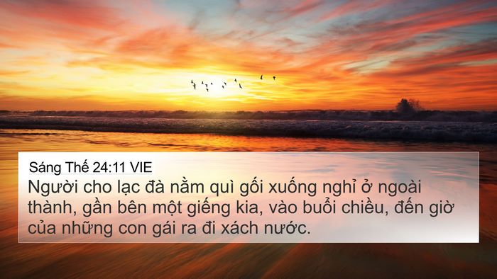 Sáng Thế 24:11 VIE Bible Verse Image