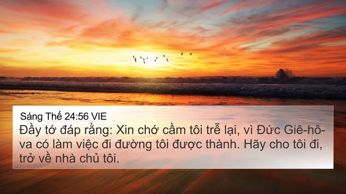 Sáng Thế 24:56 VIE Bible Verse Image
