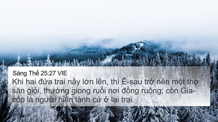 Sáng Thế 25:27 VIE Bible Verse Image