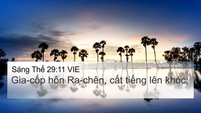 Sáng Thế 29:11 VIE Bible Verse Image
