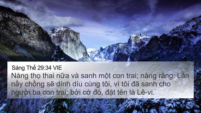 Sáng Thế 29:34 VIE Bible Verse Image
