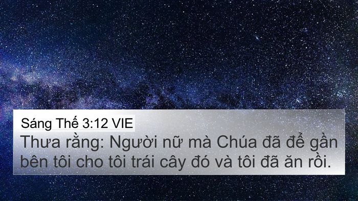 Sáng Thế 3:12 VIE Bible Verse Image