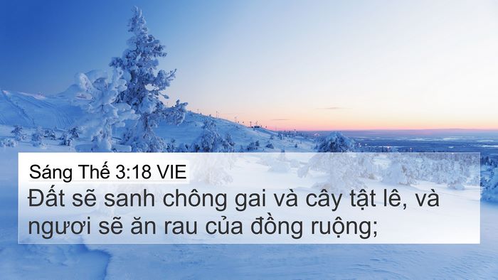 Sáng Thế 3:18 VIE Bible Verse Image