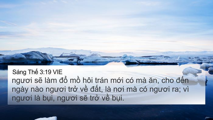 Sáng Thế 3:19 VIE Bible Verse Image