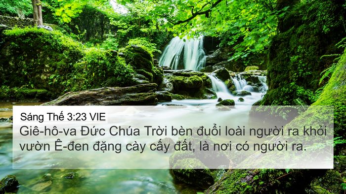 Sáng Thế 3:23 VIE Bible Verse Image