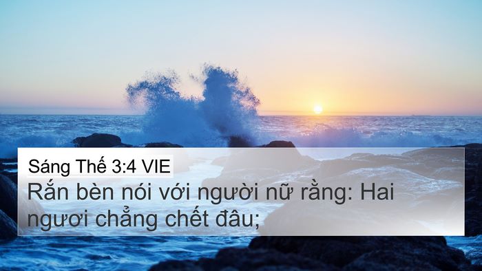 Sáng Thế 3:4 VIE Bible Verse Image