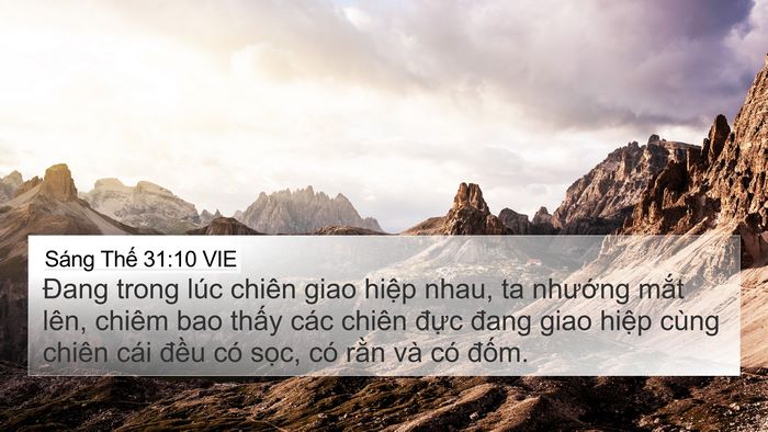 Sáng Thế 31:10 VIE Bible Verse Image