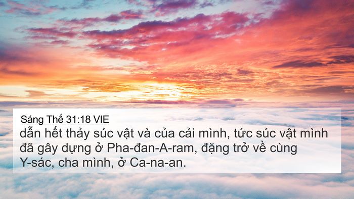 Sáng Thế 31:18 VIE Bible Verse Image