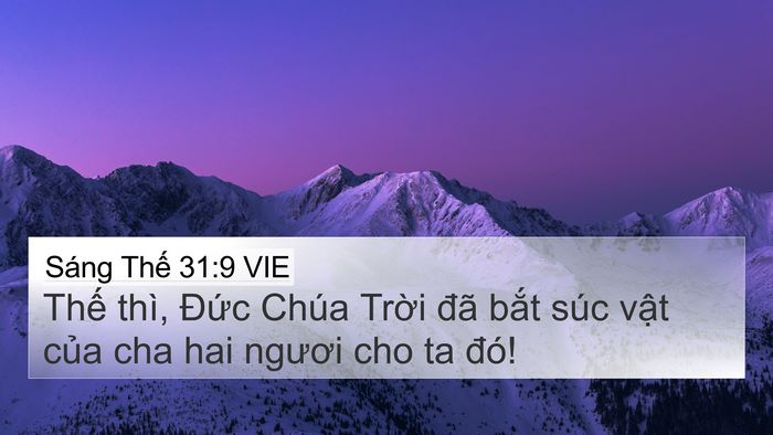 Sáng Thế 31:9 VIE Bible Verse Image