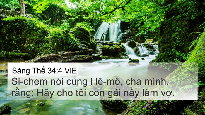 Sáng Thế 34:4 VIE Bible Verse Image