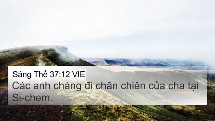 Sáng Thế 37:12 VIE Bible Verse Image