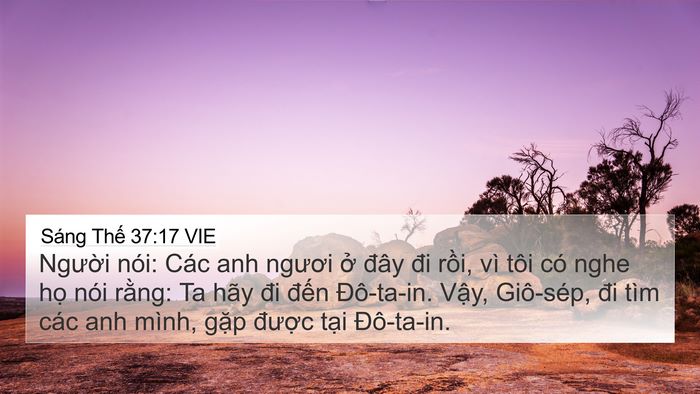 Sáng Thế 37:17 VIE Bible Verse Image