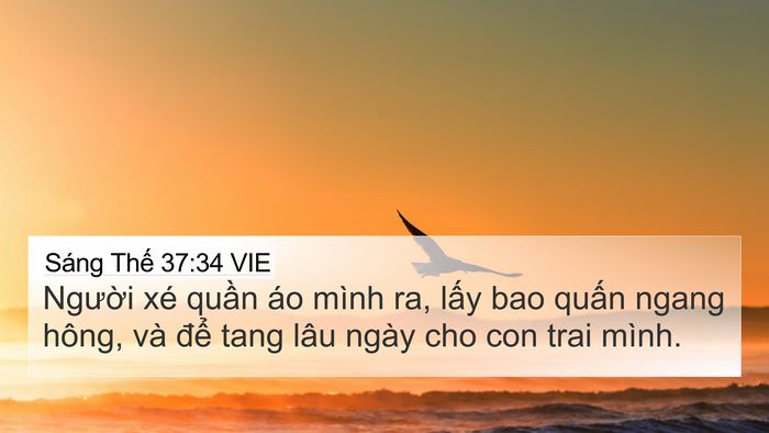 Sáng Thế 37:34 VIE Bible Verse Image