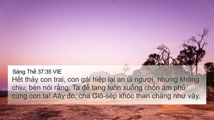 Sáng Thế 37:35 VIE Bible Verse Image