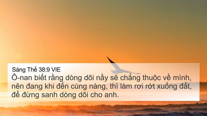 Sáng Thế 38:9 VIE 4K Wallpaper - Ô-nan biết rằng dòng dõi nầy sẽ - 4K Wallpaper Bible Verse