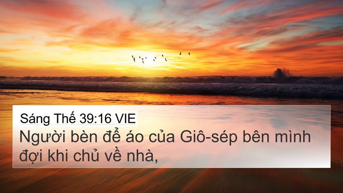 Sáng Thế 39:16 VIE 4K Wallpaper - Người bèn để áo của Giô-sép bên - 4K Wallpaper Bible Verse