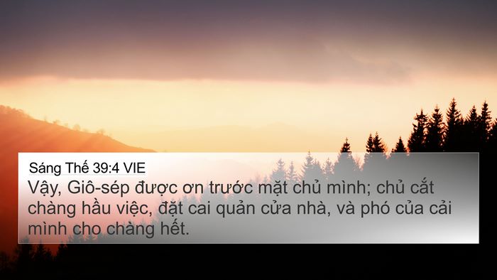 Sáng Thế 39:4 VIE Bible Verse Image