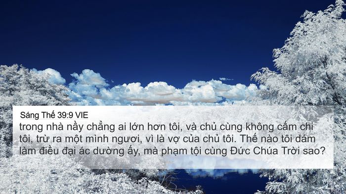 Sáng Thế 39:9 VIE 4K Wallpaper - trong nhà nầy chẳng ai lớn hơn tôi, và - 4K Wallpaper Bible Verse