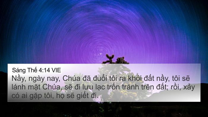 Sáng Thế 4:14 VIE Bible Verse Image