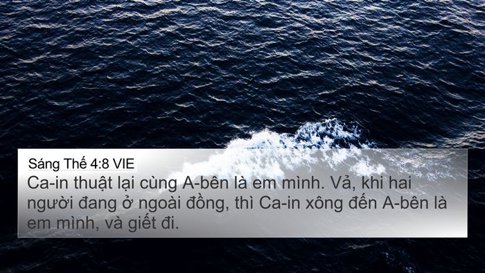 Sáng Thế 4:8 VIE Bible Verse Image