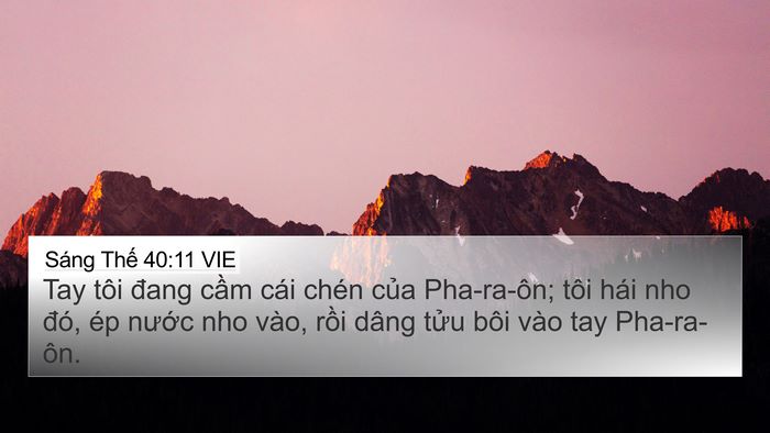Sáng Thế 40:11 VIE Bible Verse Image