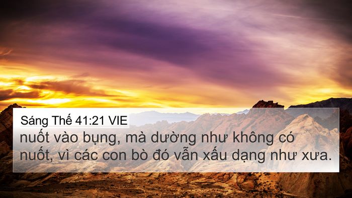 Sáng Thế 41:21 VIE Bible Verse Image