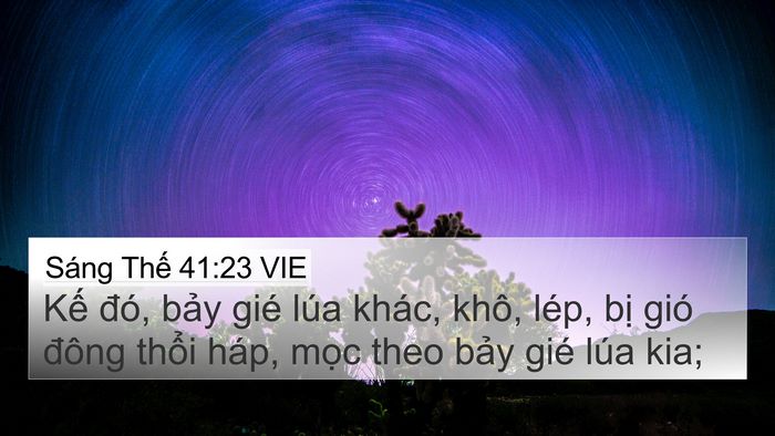 Sáng Thế 41:23 VIE 4K Wallpaper - Kế đó, bảy gié lúa khác, khô, lép, - 4K Wallpaper Bible Verse
