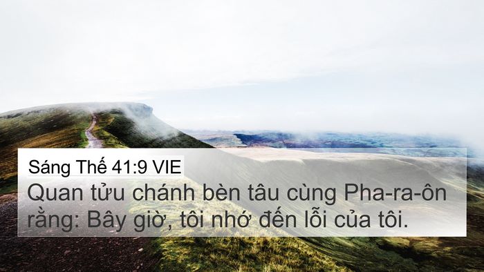 Sáng Thế 41:9 VIE 4K Wallpaper - Quan tửu chánh bèn tâu cùng Pha-ra-ôn - 4K Wallpaper Bible Verse