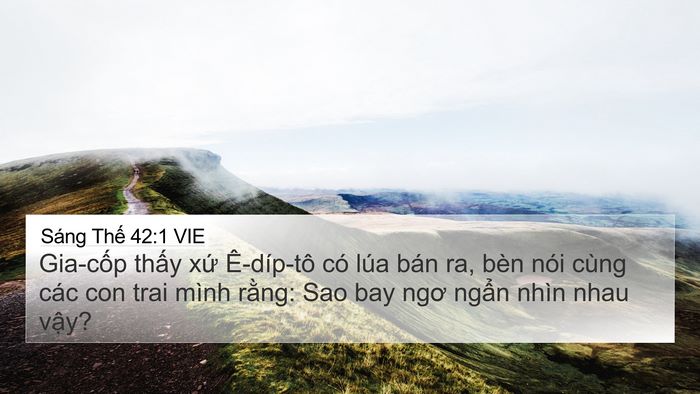 Sáng Thế 42:1 VIE 4K Wallpaper - Gia-cốp thấy xứ Ê-díp-tô có lúa bán - 4K Wallpaper Bible Verse