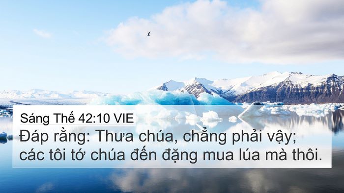 Sáng Thế 42:10 VIE Bible Verse Image