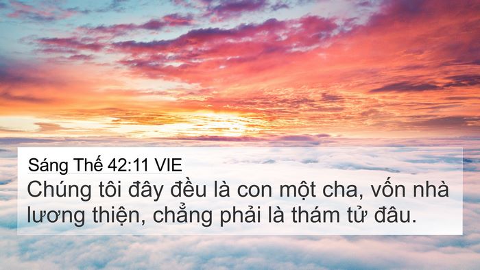 Sáng Thế 42:11 VIE Bible Verse Image