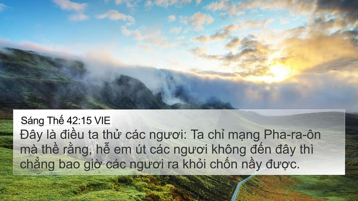 Sáng Thế 42:15 VIE Bible Verse Image