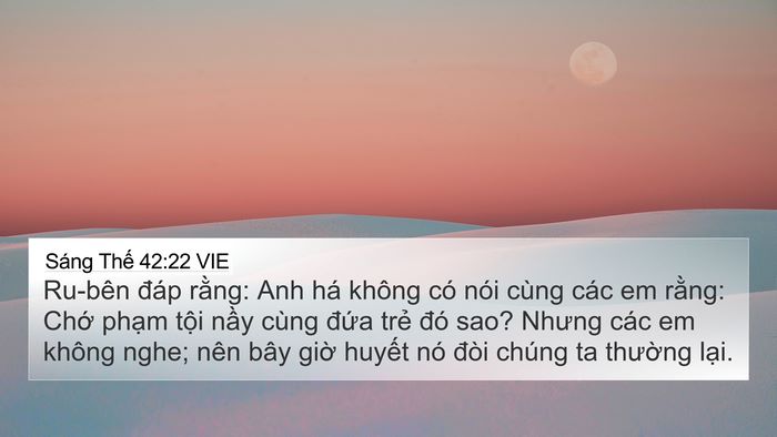 Sáng Thế 42:22 VIE Bible Verse Image