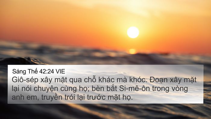 Sáng Thế 42:24 VIE Bible Verse Image